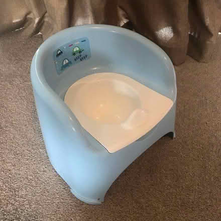 Photo of free Potty (Borough Green TN15) #1