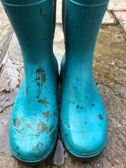 Photo of free Kids wellies size 4/5 (Park street, AL2) #2