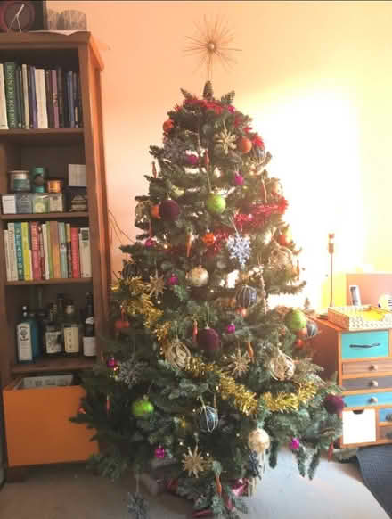 Photo of free Large Christmas Tree (Croydon CR7) #1