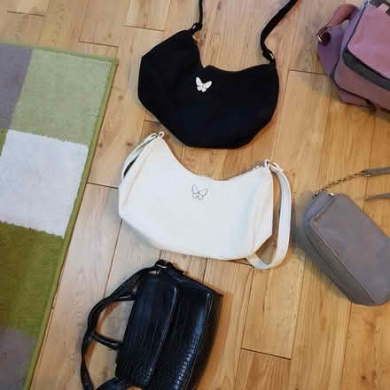 Photo of free Small bags (TF1) #1