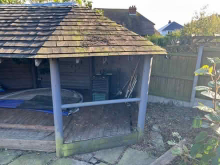 Photo of free Large garden outbuilding (CT19) #2