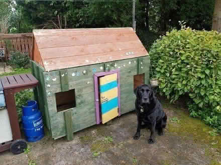 Photo of free Child's Play House (York YO19) #1