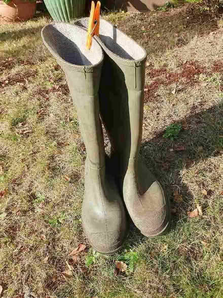 Photo of free Size 7 green wellies (Colehill BH21) #1