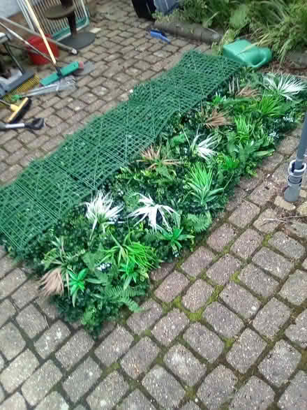 Photo of free Plastic "Living Wall" (Drumbrae EH4 8) #2