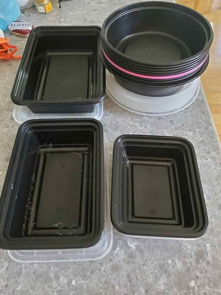 Photo of free To go containers (East Longmont) #1