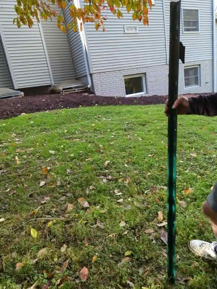 Photo of free Green metal stakes (North Reston) #1