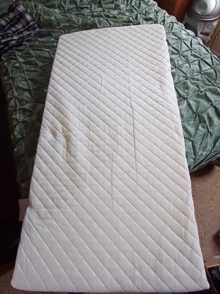 Photo of free Cot mattress (Trewoon) #1