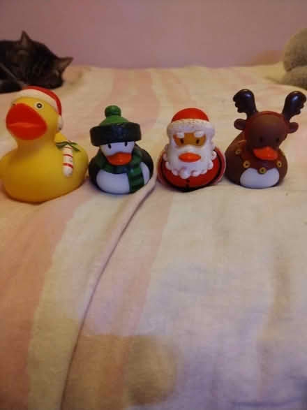 Photo of free Festive Rubber Ducks (Peacehaven, BN10) #1