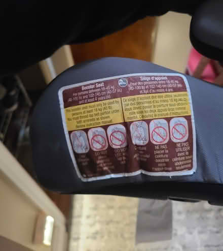 Photo of free Booster seat (Kitchener) #3