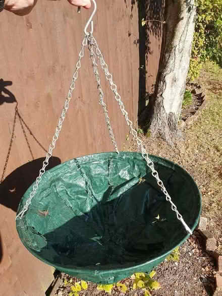 Photo of free Hanging basket (Colehill BH21) #1