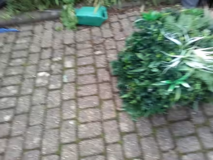 Photo of free Plastic "Living Wall" (Drumbrae EH4 8) #1