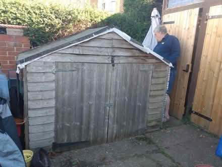 Photo of free Large shed (Teddington TW11) #1