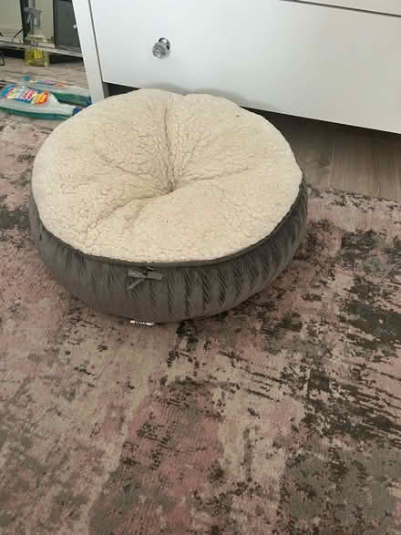 Photo of free Cat bed (Stone cross BN24) #1