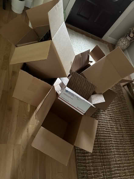 Photo of free Moving boxes (Horace Mann Melrose) #1