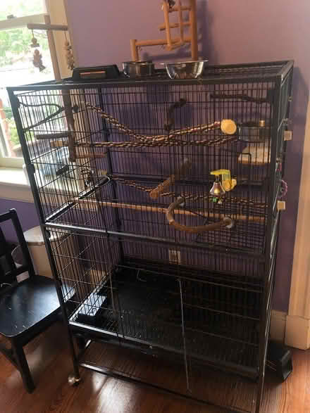 Photo of free Large bird cage (Mount pleasant) #2