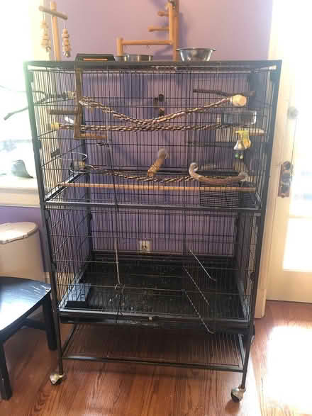 Photo of free Large bird cage (Mount pleasant) #1