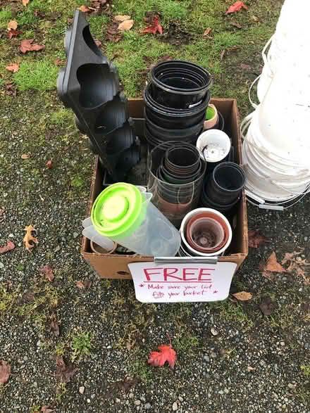 Photo of free Plant Pots (Aurora (N Seattle/ Shoreline)) #1