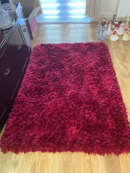 Photo of free Long pile rug (PR8 Birkdale) #1