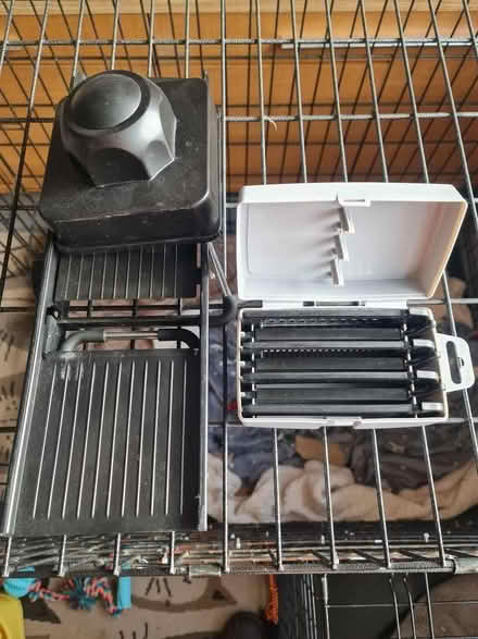 Photo of free Mandolin (Warden Hill GL51) #1