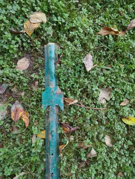 Photo of free Green metal stakes (North Reston) #3