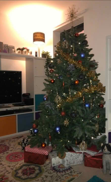 Photo of free Large Christmas Tree (Croydon CR7) #2