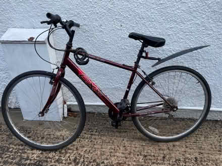 Photo of free Mens Bicycle (BT9) #1