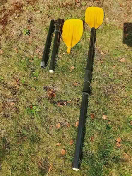 Photo of free Pair of oars (Colehill BH21) #1