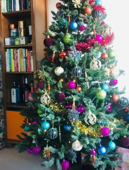 Photo of free Large Christmas Tree (Croydon CR7) #3