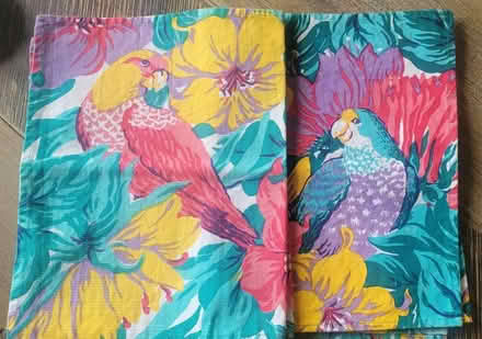 Photo of free Cotton Placemats (Downtown Berkeley) #1