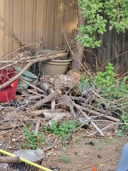 Photo of free firewood (1271 S Alton Ct, 80247) #1