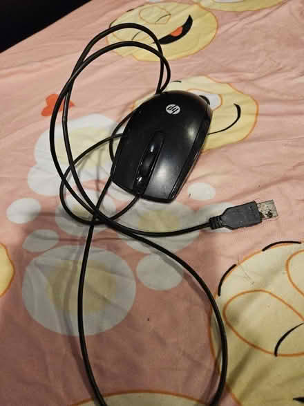 Photo of free Mouse (NE DC by 8th and H st) #1