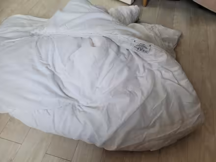 Photo of free Duvet (Bernards Heath AL1) #1