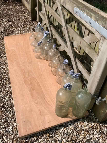 Photo of free Collection of demijohns (Nr Thatcham (Bucklebury)) #1