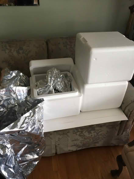 Photo of free Insulated styrofoam boxes (Catonsville) #1