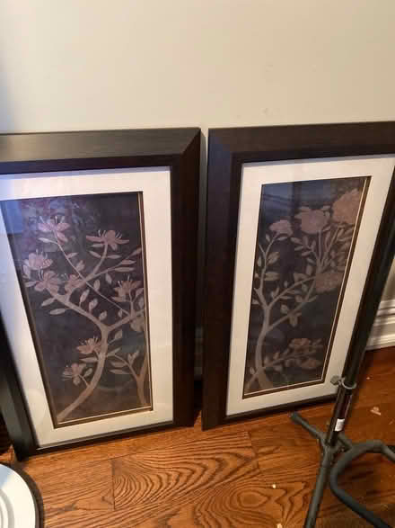 Photo of free 2 pictures (Princeton (western side)) #1