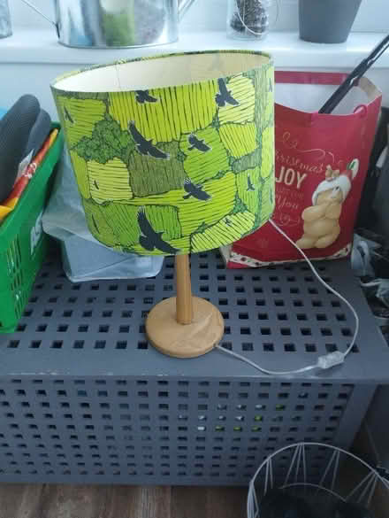 Photo of free Table lamp (Hawk Green SK6) #1