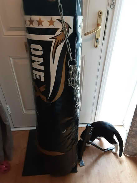 Photo of free 5' punch bag (Cranfield MK43) #1