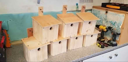 Photo of free Bird boxes (Kirkcaldy KY2) #1