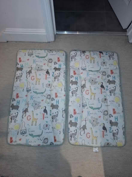 Photo of free 2 Baby change mats (South Wimbledon / Merton SW19) #1