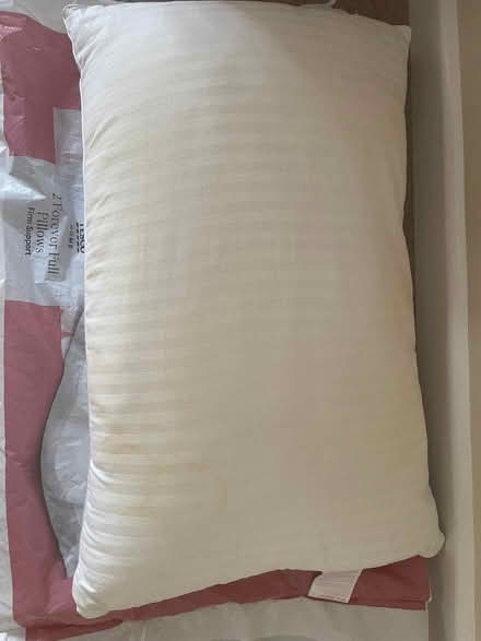 Photo of free Old Pillow (Guildford GU1) #1