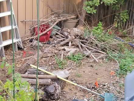 Photo of free firewood (1271 S Alton Ct, 80247) #2