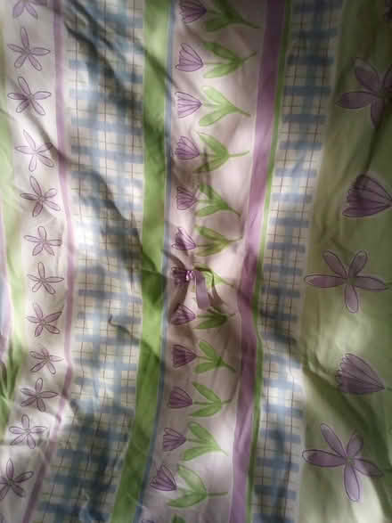 Photo of free Single size quilt (WA13. Lymm area) #2