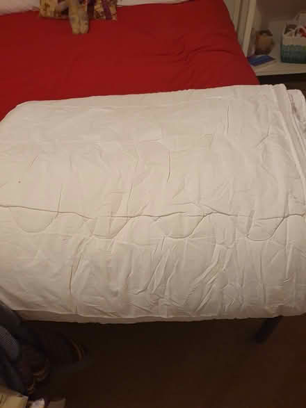 Photo of free Double mattress & topper (CM20) #1