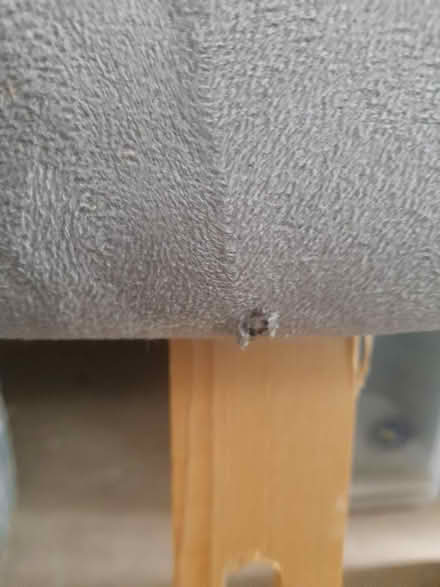 Photo of free Light grey Headboard (Collier Row) #2