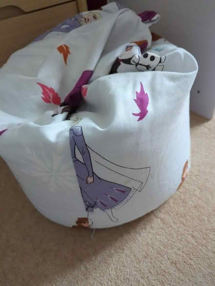 Photo of free Frozen bean bag (Rugby CV23) #1