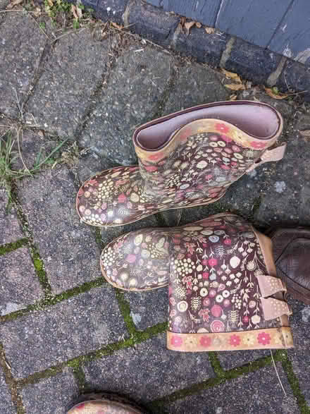 Photo of free Girls wellies size 1 (Cannon Park CV4) #2