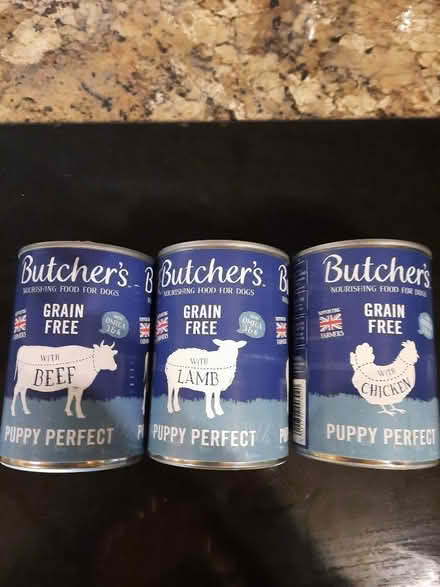Photo of free Dog food (Blacon CH1) #1