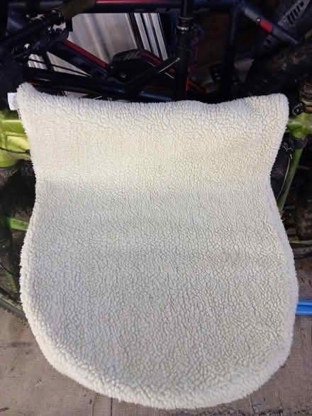 Photo of free Cat Radiator bed (Dinnington NE13) #1