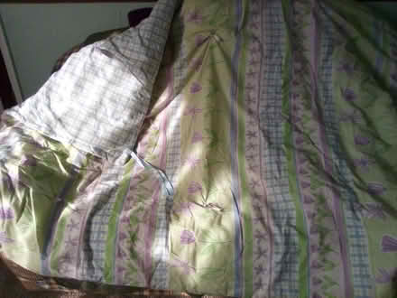 Photo of free Single size quilt (WA13. Lymm area) #3