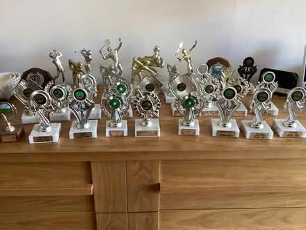 Photo of free 33 sporting trophies (RH10 Pound Hill) #1